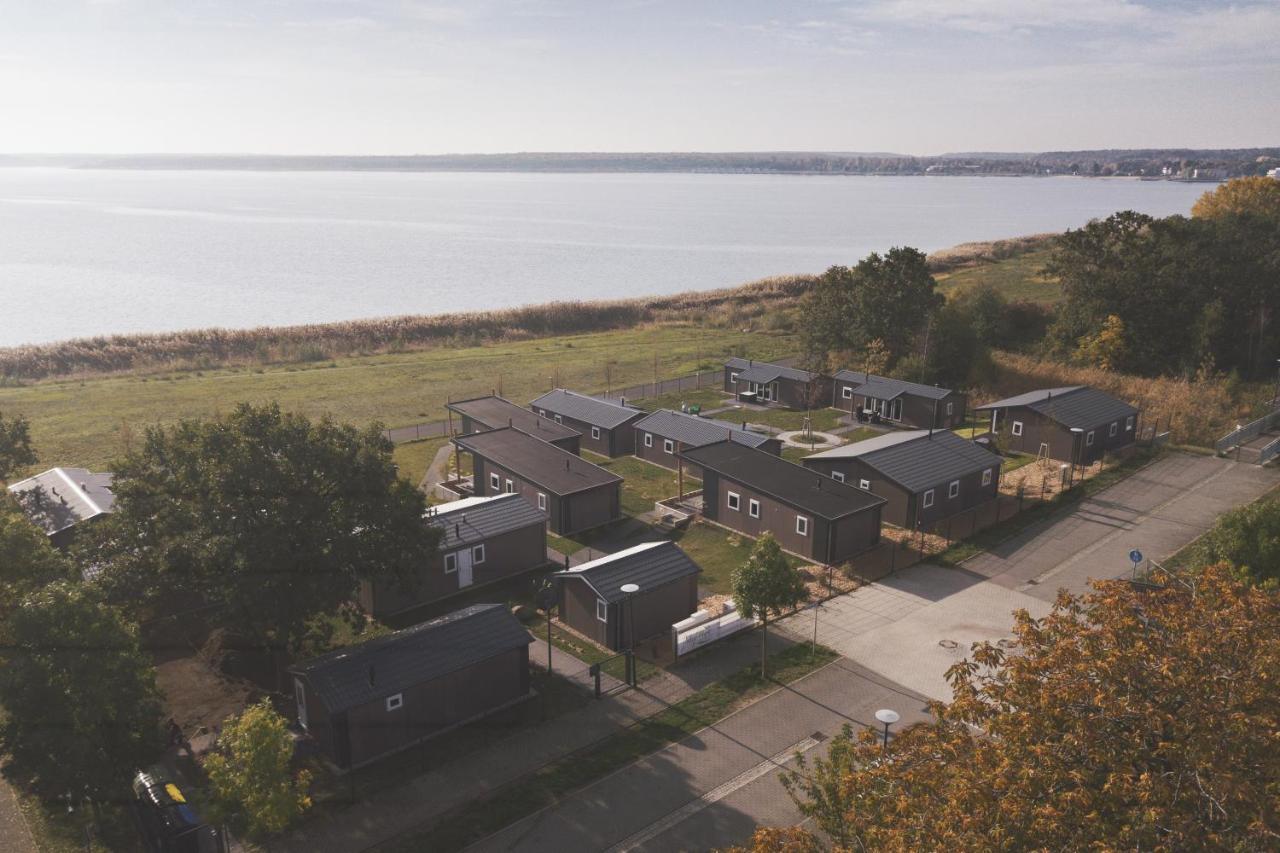 Lodgepark Goitzsche Gmbh Bitterfeld-Wolfen Exteriör bild